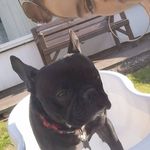 @millie_tyson_123919 - Instagram
