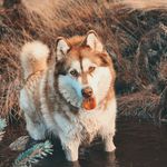 XenaMillieTysonCoco - @xenamillietyson - Instagram