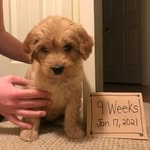 Millie - @milliemariewagner - Instagram