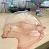 Millie Wallace  - @_millie_irisa_ - TikTok