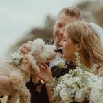 Millie Wallace the Cockapoo 🤍 - @acockapoocalled_millie - Instagram
