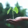 Millie Watson - @millie.watson.24570 - TikTok