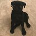 Diary of Millie-Rose Weir - Facebook