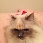 millie weir - @millicent.weir - Instagram