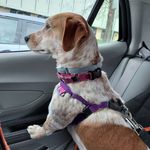 Millie Baker Weiss - @millieofpgh - Instagram