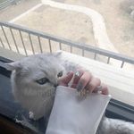 Millie Welch - @milliewelch57 - Instagram