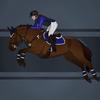 Millie White - @millie.eventing3 - TikTok