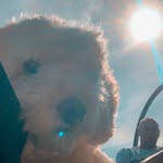 Milly Adams - @milly_moo_adams - Instagram