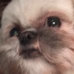 milly dixon - @millypillymilly - Instagram