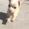 Gutierrez.millyy - @millygutierrez81 - TikTok