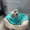 millygutierrez881 - @millygutierrez881 - TikTok