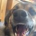 Milly Hall - Facebook