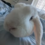Milly Hall - @milly_hall27 - Instagram