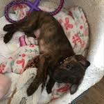 Milly Jones - @millyjones435 - Instagram