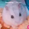 Milly May - @millymay0 - TikTok