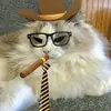 milly may - @poplollywollydolly - TikTok