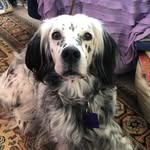 Milly Middleton - @milly.middleton.370 - Instagram