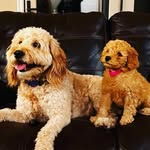 Millie + May Palmer - @our_millie_may - Instagram