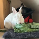 Milly - @milly.palmer03 - Instagram
