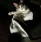Milly Jane Richards - Facebook
