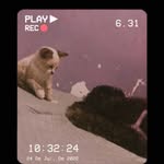 Milly e Scott. - @milly_.scott_ - Instagram