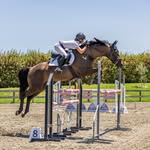 Milly scott - @millyscott.nz - Instagram