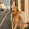 Milly Simpson - @milly_simpson27 - TikTok