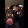 MillyTaylor  - @millytaylor77 - TikTok