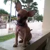 Milly Vázquez - @milly.vzquez - TikTok