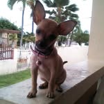 Milly Vázquez - @milly_vazquez1968 - Instagram