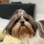 Hanna Milly Wells - @hanna.wells17 - Instagram