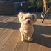 Milly Wells - Facebook