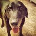 Milo Aukerman Aponte - Facebook