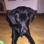 Milo - @milo_beck - Instagram