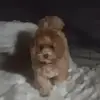 Milo Carr - @milo.carr76 - TikTok