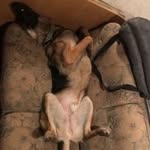 Milo Clark - @miloclark46 - Instagram