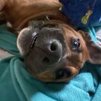 Milo Clark - Facebook