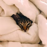 milo clark thomas - @miloclarkthomas - Instagram
