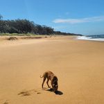 @milo.derby - Instagram