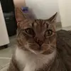 Mili - @milodominguez_ - TikTok