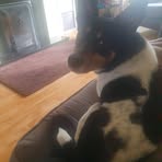 Milo Graham - Facebook