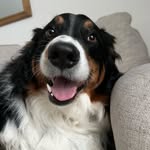 Milo Graham - @milograhamkam - Instagram