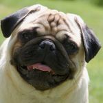 Milo harris - @milo__harris - Instagram