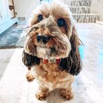 Milo Harris - @millonian - Instagram