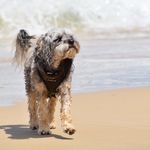Milo Harris - @the_best_of_milo - Instagram