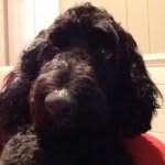 Kooper Milo Hess - @kooperh012 - Instagram