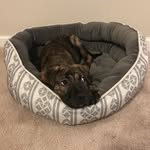 Milo - @milo_hess - Instagram