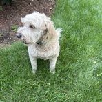 Milo Hoffman - Facebook