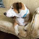 @_milohouse - Instagram