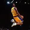 🏀Hello🏀 - @milohouse22 - TikTok